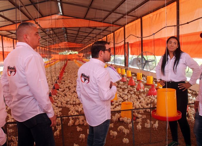 Gobernador Rafael Lacava anunció la ejecución del proyecto “Impulso a la producción avícola en el estado Carabobo”, desde La granja La Colina en el municipio San Joaquín. Foto: Prensa Gobernación de Carabobo