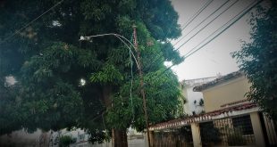 Residentes solicitan poda controlada de árbol y alumbrado público Foto: Prensa ACA es la Noticia