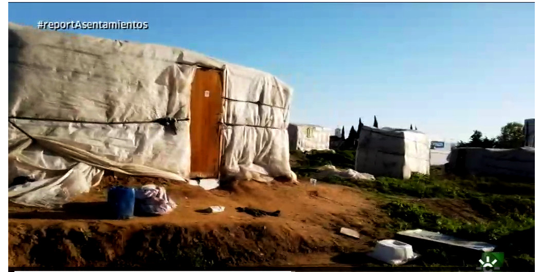 Los asentamientos en Andalucia Foto: Captura de Pantalla vía Canalsur